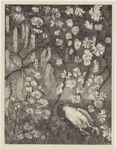Mrtvý pták pod větvemi lísky a zimolezu Flower Studies (původní název série)