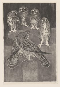 Čtyři sovy a dvě poštolky Animal Studies (původní název série)