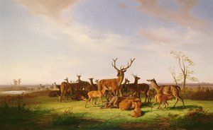 Stádo jelenů na prosluněné pastvině od Theodor Julius Kiellerup