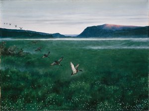 Dvanáct divokých kachen od Theodor Kittelsen