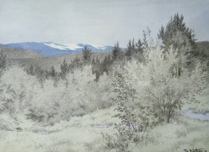 Daleko daleko v lese od Theodor Kittelsen