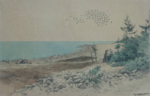 Jomfruland (malba)