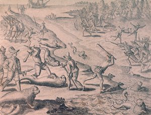 Zabíjení lachtanů průzkumníky od Theodor de Bry