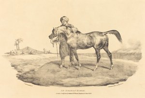 Arabský kůň od Theodore Gericault