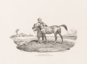 Arabský kůň od Theodore Gericault