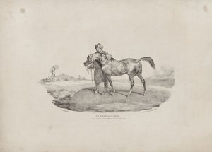 Arabský kůň od Theodore Gericault