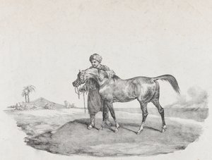 Arabský kůň, 1821 od Theodore Gericault