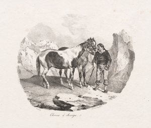 Koně z Auvergne od Theodore Gericault