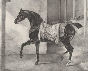 Černý kůň uvázaný ve stáji, 1822. od Theodore Gericault