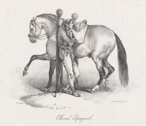 Španělský kůň (A Spanish Horse) od Theodore Gericault