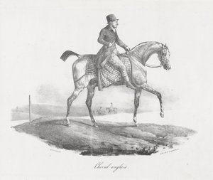 Anglický kůň (An English Horse) od Theodore Gericault