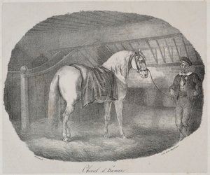 Hannoverský kůň. od Theodore Gericault