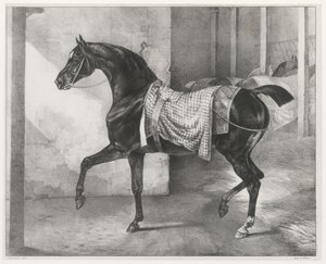 Černý kůň přivázaný ve stáji (A Black Horse Tethered in a Stable) od Theodore Gericault