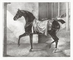 Černý kůň přivázaný ve stáji (A Black Horse Tethered in a Stable) od Theodore Gericault