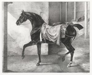 Černý kůň přivázaný ve stáji (A Black Horse Tethered in a Stable) od Theodore Gericault
