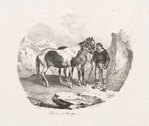 Auvergneští koně od Theodore Gericault