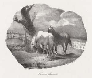 Flamandští koně (Flemish Horses) od Theodore Gericault