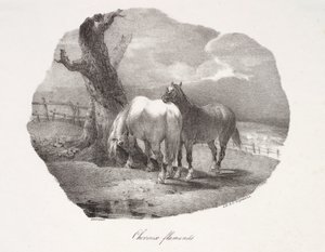 Vlámští koně od Theodore Gericault
