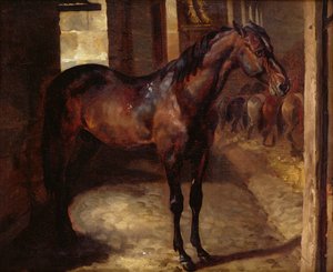 Dark Bay Horse ve stáji