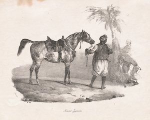 Egyptská klisna od Theodore Gericault