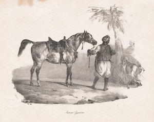 Egyptská klisna od Theodore Gericault