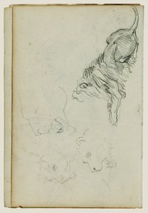 Čtyři lví studie od Theodore Gericault