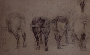 Zapřažení koně (tužka) od Theodore Gericault