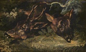 Heads of Roe Deer, 1815 od Theodore Gericault