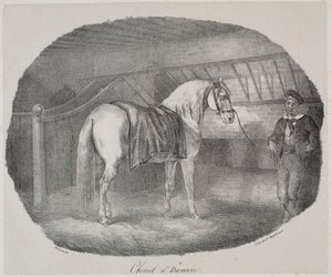 Kůň z Hannoveru od Theodore Gericault