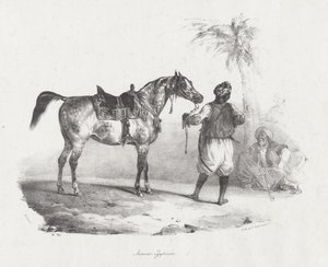 Egyptská klisna (An Egyptian Mare) od Theodore Gericault