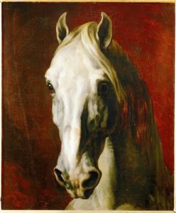 Hlava bílého koně od Theodore Gericault