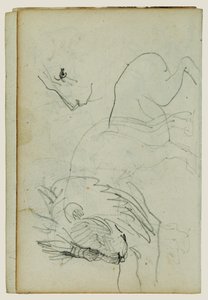 Studie o lvu od Theodore Gericault