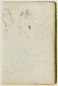 Studie o lvech od Theodore Gericault