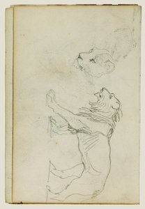 Kráčející lev, hlava lvice od Theodore Gericault
