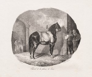 Litografické studie koní: Pl. 7, Kůň z pláně Caen od Theodore Gericault