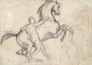 Chov hřebce v držení nahého muže od Theodore Gericault