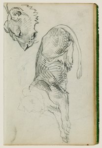 Sedící lev, hlava lvice od Theodore Gericault