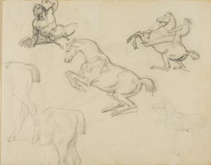 Náčrtky: Ležící akt, jezdec a různí koně od Theodore Gericault