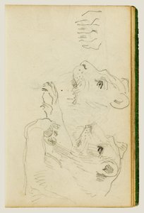 Studie hlavy a předních končetin lvice od Theodore Gericault
