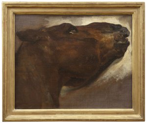 Studie mrtvého koně od Theodore Gericault
