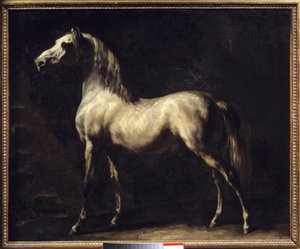 Studie obrazu koně od Theodora Gericaulta od Theodore Gericault