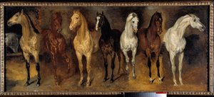 Prsa Sedm koní zepředu. Obraz Theodora Gericaulta (1791-1824) 19. století Sun. 0,39x0,94 m Soukromá sbírka - Truhly sedmi koní (pohled zepředu). Obraz Theodora Gericaulta (1791-1824) od Theodore Gericault