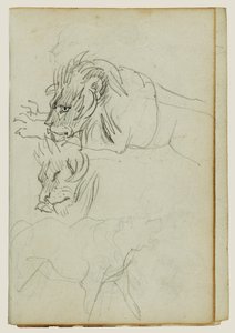 Tři studie lvů od Theodore Gericault
