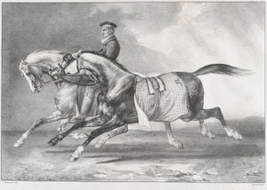 Dva strakatě šedí koně při tréninku od Theodore Gericault