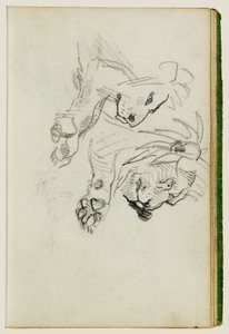 Dvě studie o lvech od Theodore Gericault