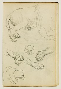 Různé studie lví nohy, tlap a hlavy od Theodore Gericault
