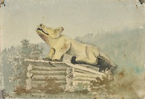 Indiánský hrob. Vlčí totem nad Medicine Man Grave, Wrangell, ca. 1880-1914.