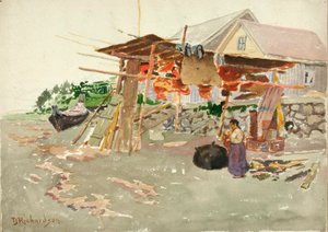 Sušení lososa, Indian Village, Aljaška, ca. 1880-1914.