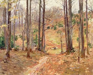 Virginia Woods, 1893 od Theodore Robinson