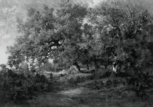 Krajina, c. 1860. od Theodore Rousseau